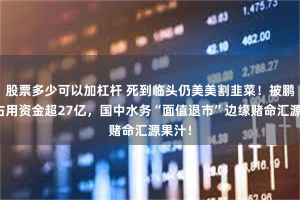 股票多少可以加杠杆 死到临头仍美美割韭菜！被鹏欣系占用资金超27亿，国中水务“面值退市”边缘赌命汇源果汁！