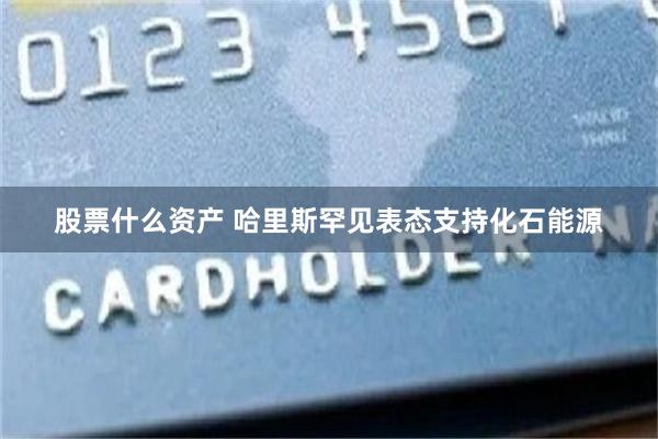 股票什么资产 哈里斯罕见表态支持化石能源