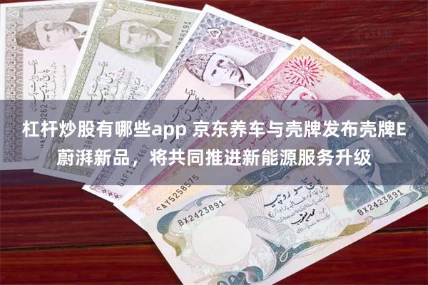 杠杆炒股有哪些app 京东养车与壳牌发布壳牌E蔚湃新品，将共同推进新能源服务升级