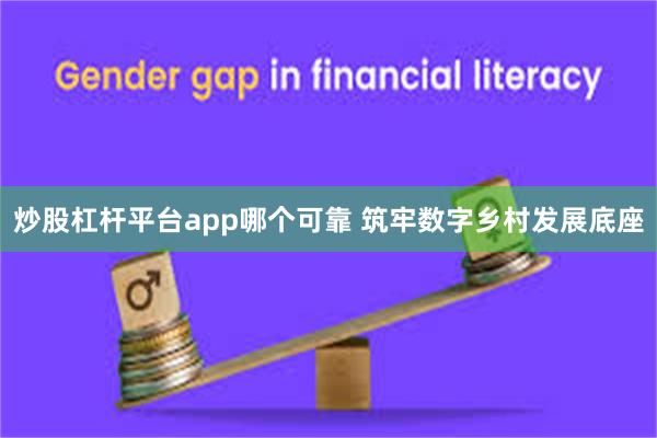 炒股杠杆平台app哪个可靠 筑牢数字乡村发展底座