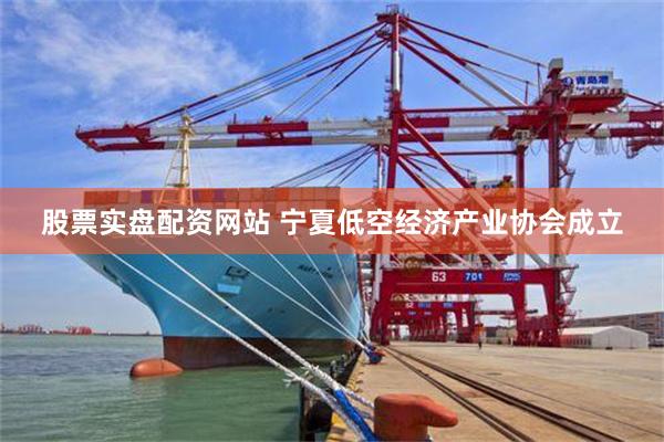 股票实盘配资网站 宁夏低空经济产业协会成立