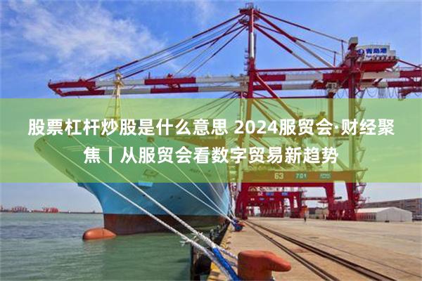 股票杠杆炒股是什么意思 2024服贸会·财经聚焦丨从服贸会看数字贸易新趋势