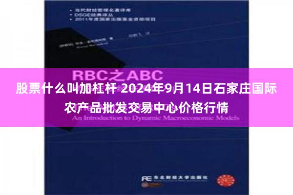 股票什么叫加杠杆 2024年9月14日石家庄国际农产品批发交易中心价格行情