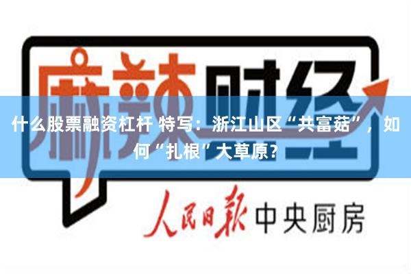 什么股票融资杠杆 特写：浙江山区“共富菇”，如何“扎根”大草原？