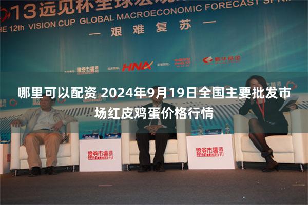 哪里可以配资 2024年9月19日全国主要批发市场红皮鸡蛋价格行情
