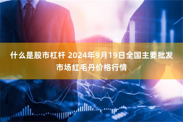 什么是股市杠杆 2024年9月19日全国主要批发市场红毛丹价格行情