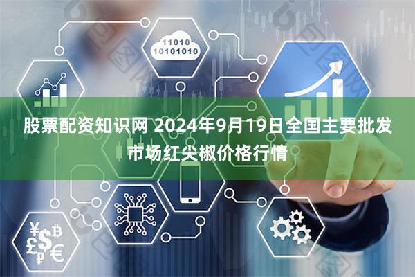股票配资知识网 2024年9月19日全国主要批发市场红尖椒价格行情