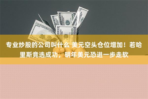 专业炒股的公司叫什么 美元空头仓位增加！若哈里斯竞选成功，明年美元恐进一步走软