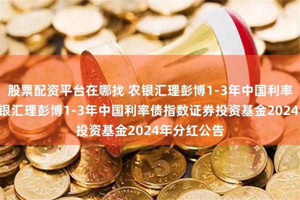 股票配资平台在哪找 农银汇理彭博1-3年中国利率债指数: 农银汇理彭博1-3年中国利率债指数证券投资基金2024年分红公告