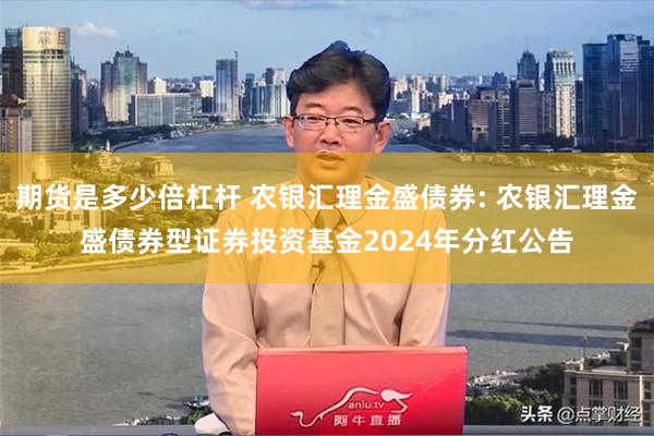 期货是多少倍杠杆 农银汇理金盛债券: 农银汇理金盛债券型证券投资基金2024年分红公告