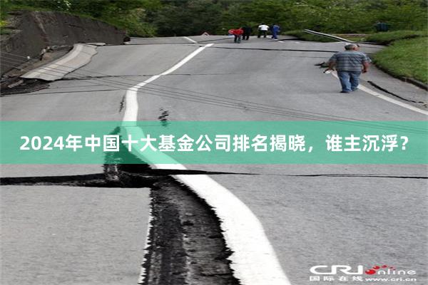 2024年中国十大基金公司排名揭晓，谁主沉浮？