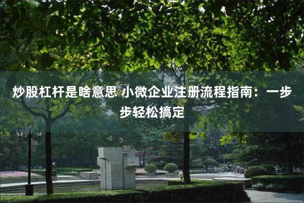 炒股杠杆是啥意思 小微企业注册流程指南：一步步轻松搞定