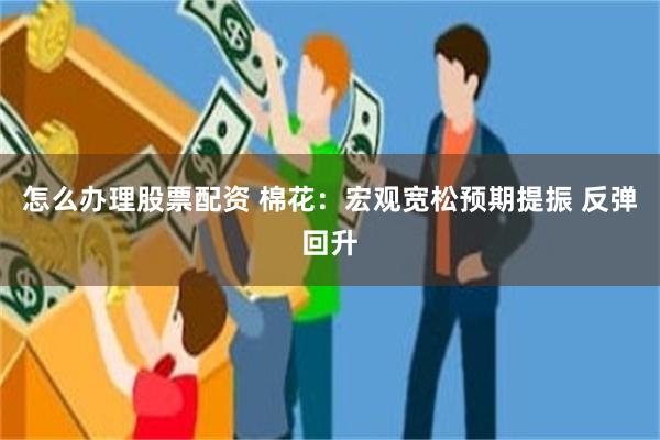 怎么办理股票配资 棉花：宏观宽松预期提振 反弹回升