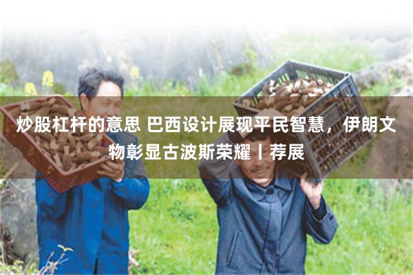炒股杠杆的意思 巴西设计展现平民智慧，伊朗文物彰显古波斯荣耀丨荐展