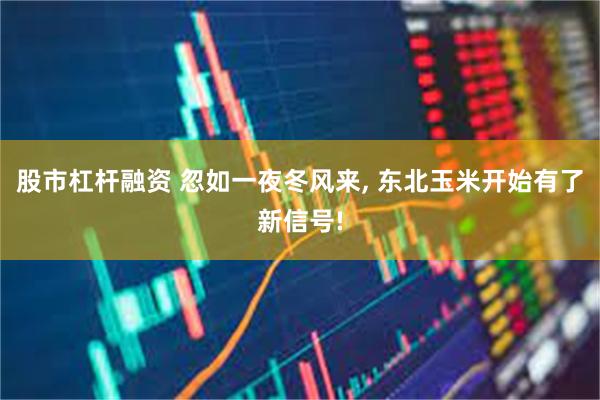 股市杠杆融资 忽如一夜冬风来, 东北玉米开始有了新信号!