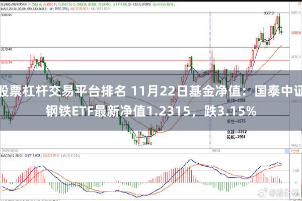 股票杠杆交易平台排名 11月22日基金净值：国泰中证钢铁ETF最新净值1.2315，跌3.15%