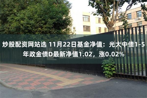 炒股配资网站选 11月22日基金净值：光大中债1-5年政金债D最新净值1.02，涨0.02%