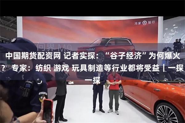 中国期货配资网 记者实探：“谷子经济”为何爆火？ 专家：纺织 游戏 玩具制造等行业都将受益｜一探