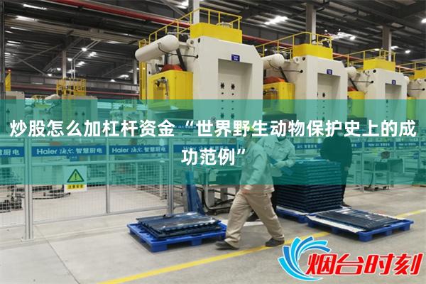 炒股怎么加杠杆资金 “世界野生动物保护史上的成功范例”