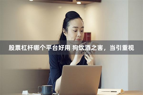 股票杠杆哪个平台好用 狗饮酒之害，当引重视