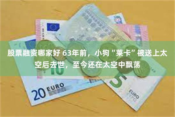 股票融资哪家好 63年前，小狗“莱卡”被送上太空后去世，至今还在太空中飘荡