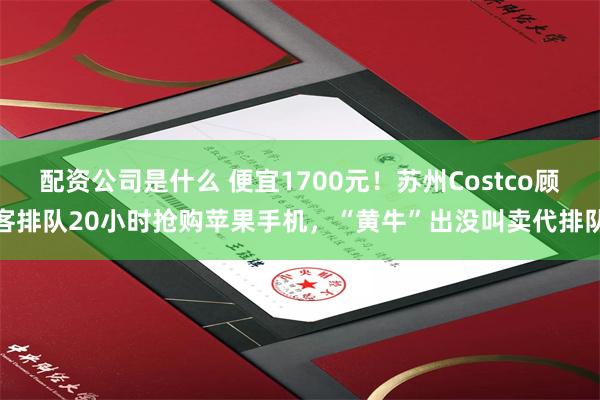 配资公司是什么 便宜1700元！苏州Costco顾客排队20小时抢购苹果手机，“黄牛”出没叫卖代排队