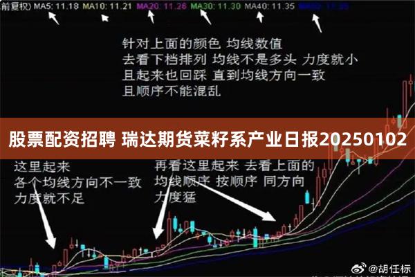 股票配资招聘 瑞达期货菜籽系产业日报20250102