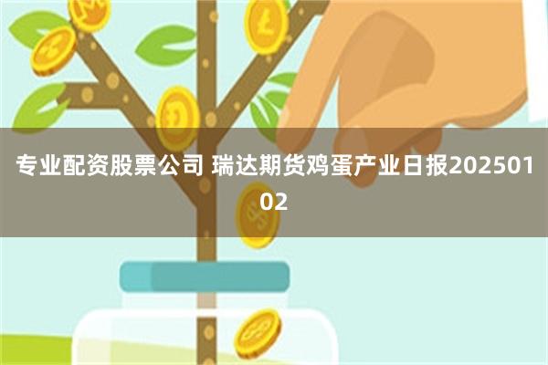 专业配资股票公司 瑞达期货鸡蛋产业日报20250102