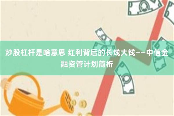 炒股杠杆是啥意思 红利背后的长线大钱——中信金融资管计划简析