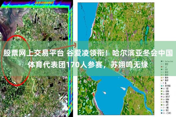 股票网上交易平台 谷爱凌领衔！哈尔滨亚冬会中国体育代表团170人参赛，苏翊鸣无缘