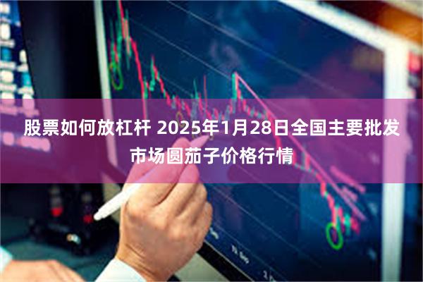 股票如何放杠杆 2025年1月28日全国主要批发市场圆茄子价格行情