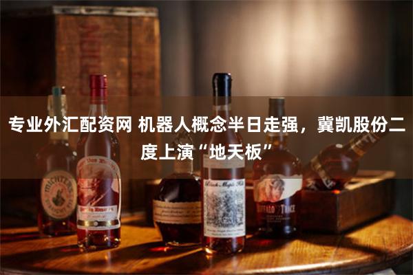 专业外汇配资网 机器人概念半日走强，冀凯股份二度上演“地天板”