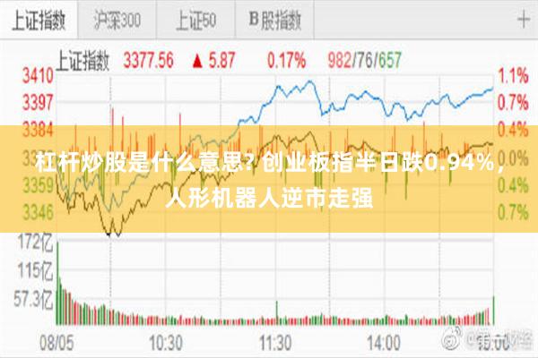 杠杆炒股是什么意思? 创业板指半日跌0.94%，人形机器人逆市走强