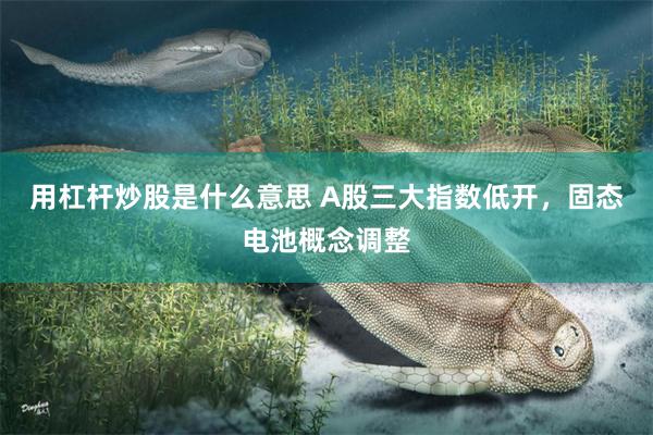 用杠杆炒股是什么意思 A股三大指数低开，固态电池概念调整