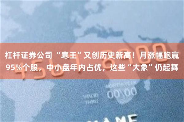 杠杆证券公司 “寒王”又创历史新高！月涨幅跑赢95%个股，中小盘年内占优，这些“大象”仍起舞