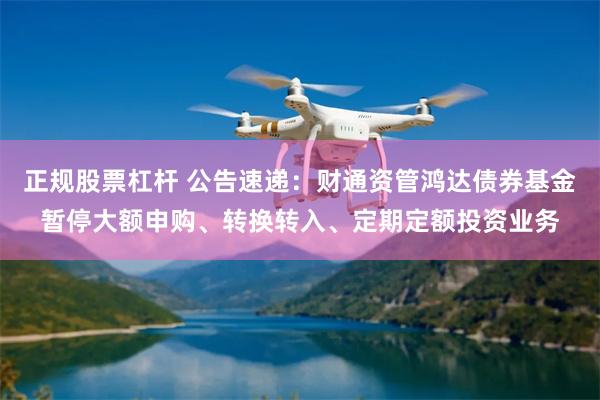 正规股票杠杆 公告速递：财通资管鸿达债券基金暂停大额申购、转换转入、定期定额投资业务