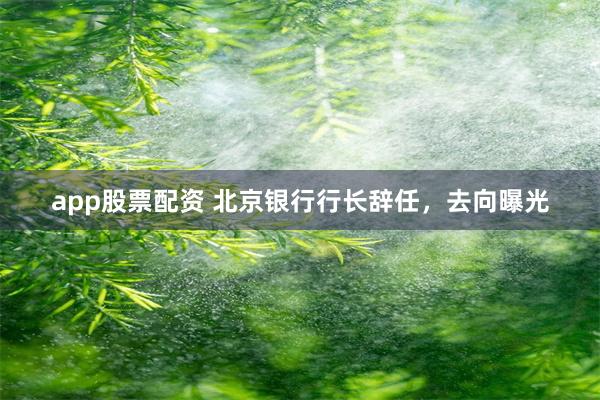 app股票配资 北京银行行长辞任，去向曝光