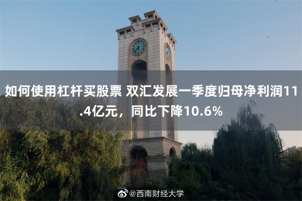 如何使用杠杆买股票 双汇发展一季度归母净利润11.4亿元，同比下降10.6%