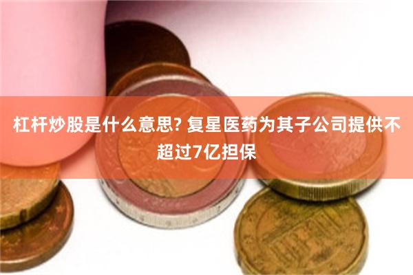 杠杆炒股是什么意思? 复星医药为其子公司提供不超过7亿担保