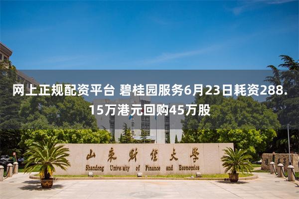 网上正规配资平台 碧桂园服务6月23日耗资288.15万港元回购45万股