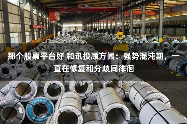 那个股票平台好 和讯投顾方闻：强势混沌期，一直在修复和分歧间徘徊