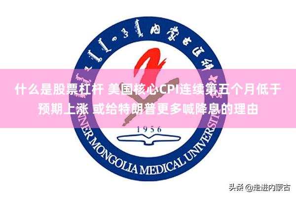 什么是股票杠杆 美国核心CPI连续第五个月低于预期上涨 或给特朗普更多喊降息的理由