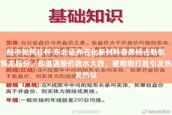 股市如何杠杆 东北证券石化新材料首席杨占魁吹捧银龙股份，却遭遇股价跳水大跌，被啪啪打脸引发热议