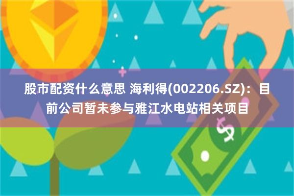 股市配资什么意思 海利得(002206.SZ)：目前公司暂未参与雅江水电站相关项目