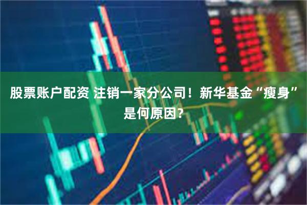股票账户配资 注销一家分公司！新华基金“瘦身”是何原因？