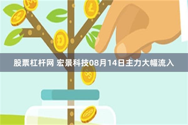 股票杠杆网 宏景科技08月14日主力大幅流入