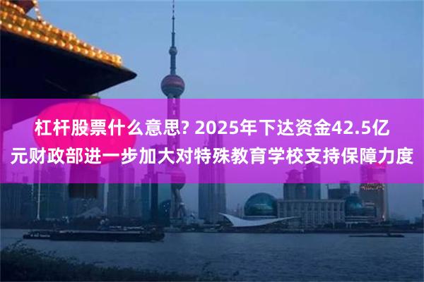 杠杆股票什么意思? 2025年下达资金42.5亿元财政部进一步加大对特殊教育学校支持保障力度