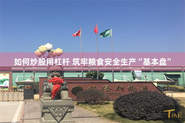 如何炒股用杠杆 筑牢粮食安全生产“基本盘”