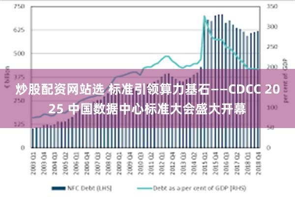 炒股配资网站选 标准引领算力基石——CDCC 2025 中国数据中心标准大会盛大开幕