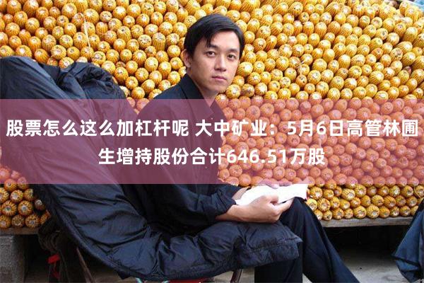 股票怎么这么加杠杆呢 大中矿业：5月6日高管林圃生增持股份合计646.51万股